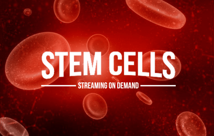 Stem Cell Streaming