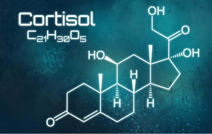 Cortisol-Stress-Induced-Muscle-Atrophy