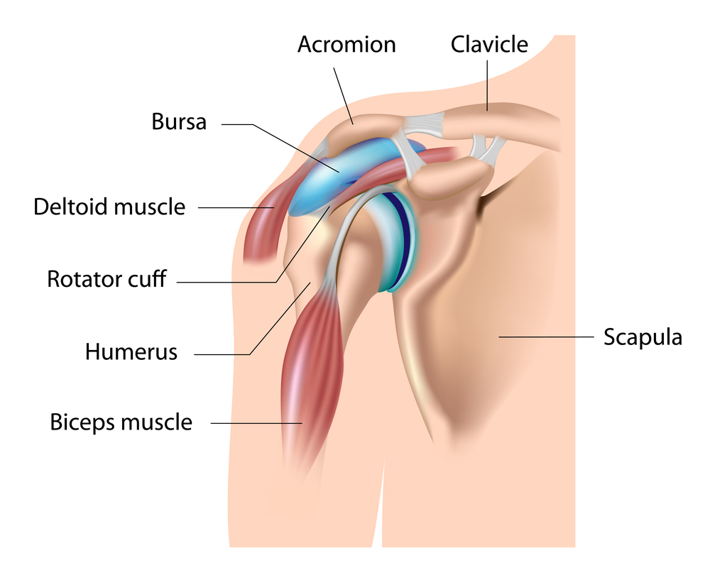 Shoulder Pain: It may be an easy fix