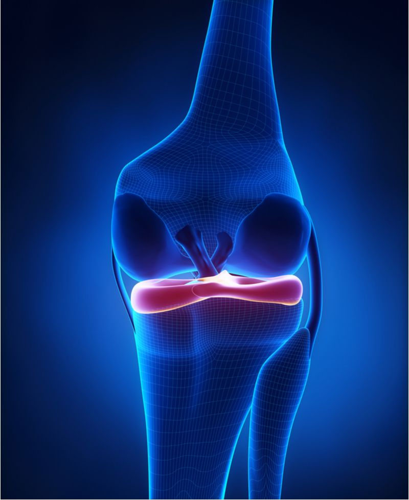 Meniscus Disease