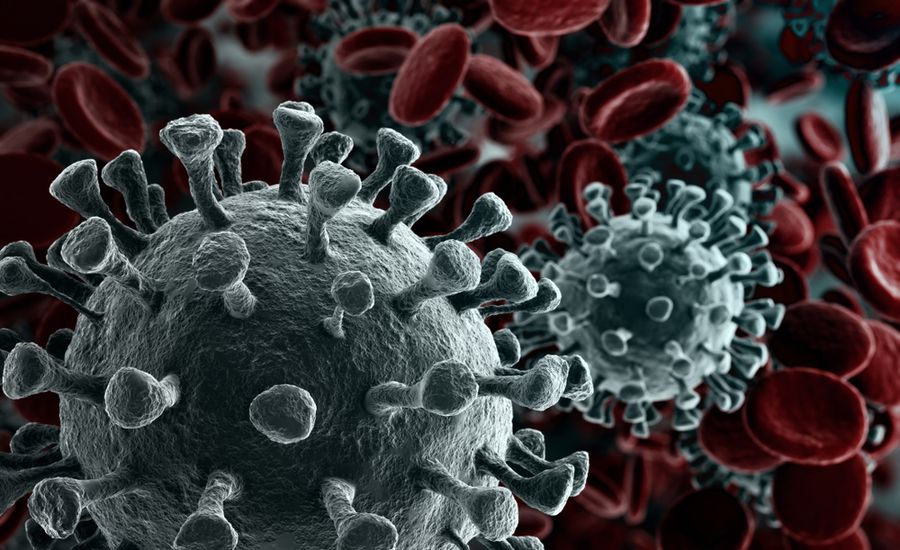 Corona Virus Microscope View