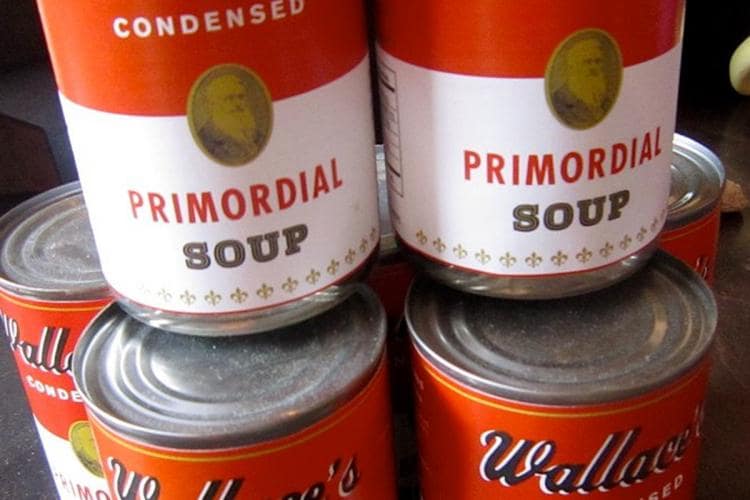 Chicken Soup: What’s New in the Field of Cartilage Repair? The Stone Clinic