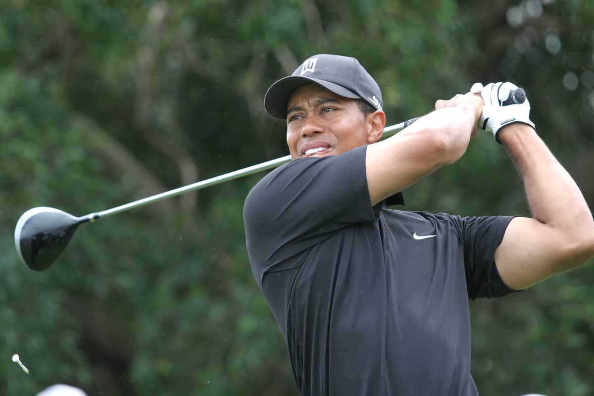 Lessons of Tiger Woods Play Forever Book