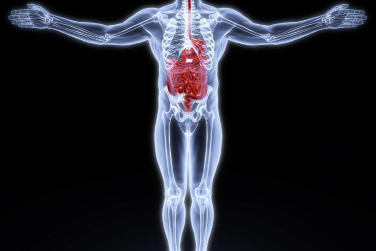 Mind, Body, Gut The Stone Clinic