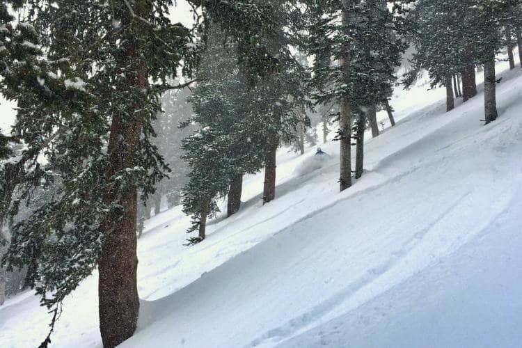 Resolutions The Stone Clinic