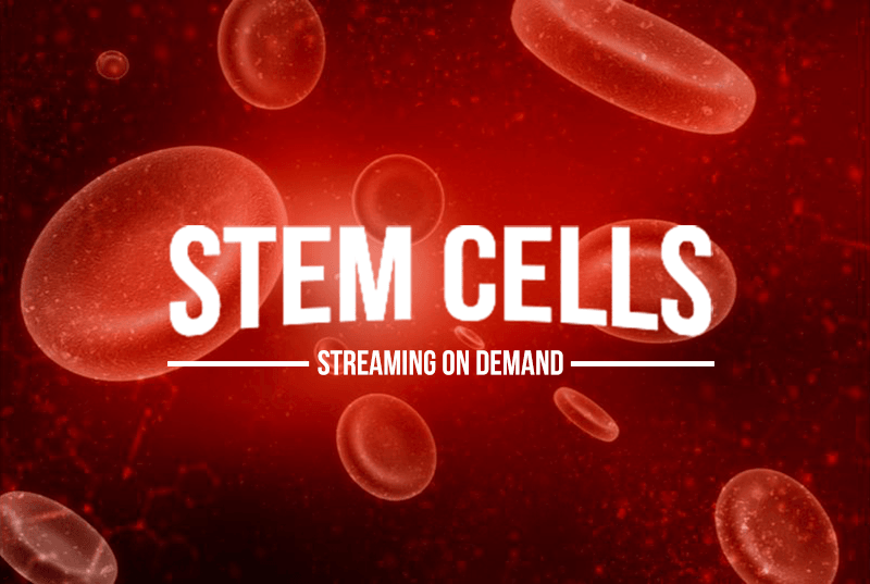 Stem Cells Streaming