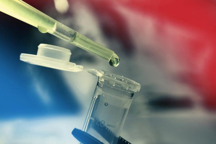 The Great Stem Cell Divide The Stone Clinic