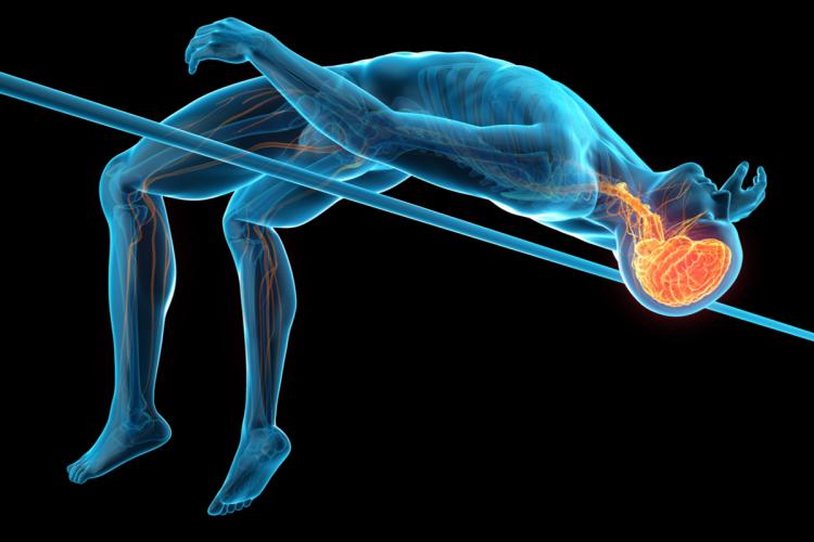 The Untethered Athlete The Stone Clinic
