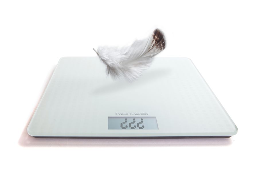 Weight Gain for the Too Thin