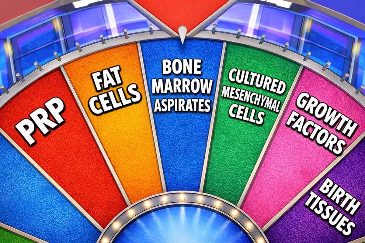 Wheel of Joint Injections 