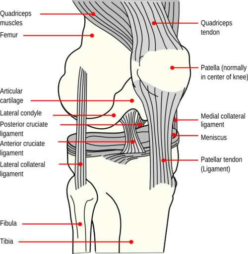 Dental Braces Treatment Details