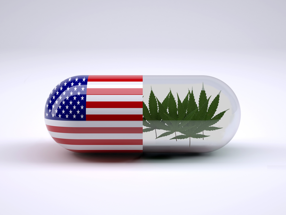 the opioid crisis