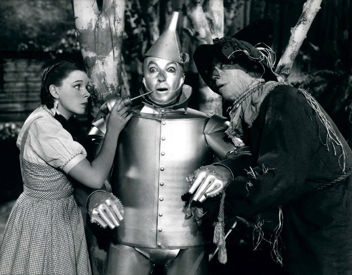 tinman stem cells