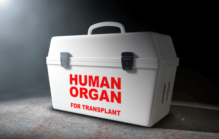 Organ Donor Transplants