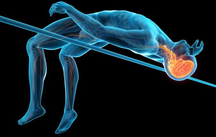 The Untethered Athlete The Stone Clinic