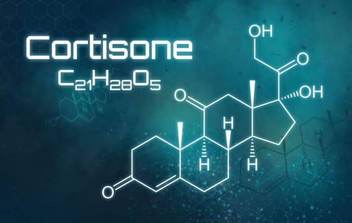 Cortisone in Orthopaedics 
