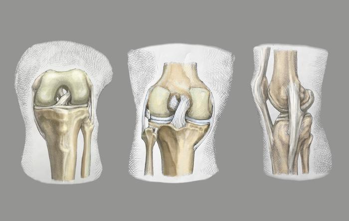 Knee Ligaments 3 Views