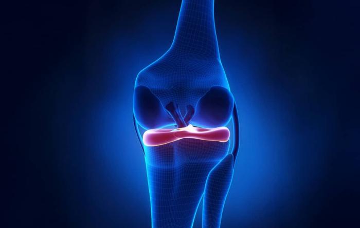 Meniscus Digital Illustration