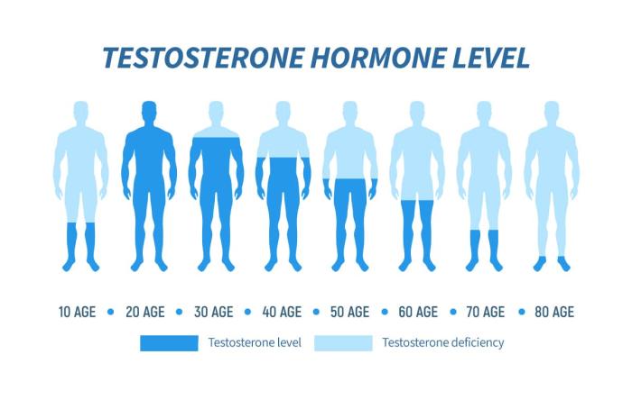 Testosterone Hormone Therapy for Aging & Joints