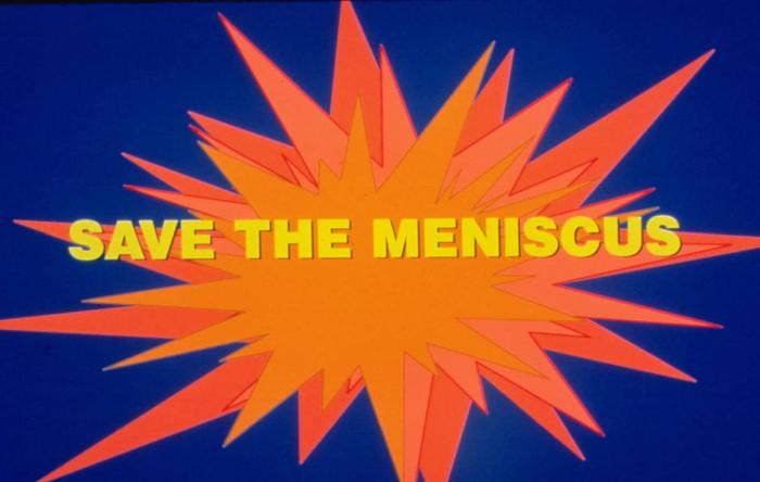 Save-the-Meniscus-Slide-from-Kevin-R.-Stone,-MD-Presentation.jpg